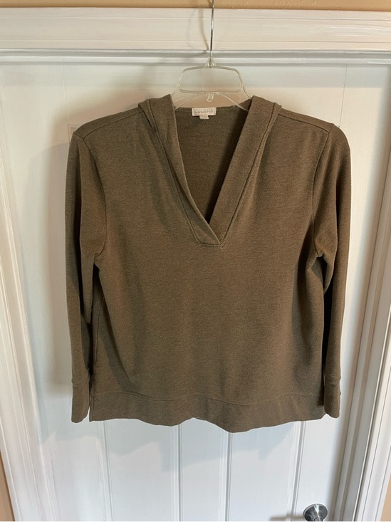 Garnet Hill Tops - Garnet Hill V-Neck Hoodie Sweater